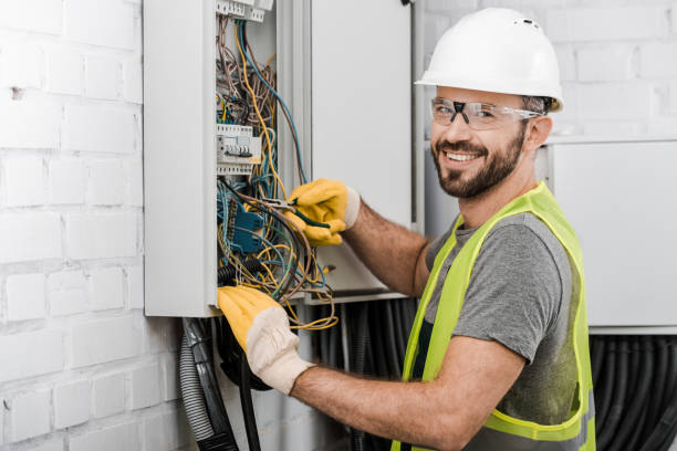 Best Electric Panel Repair  in Higginsville, MO